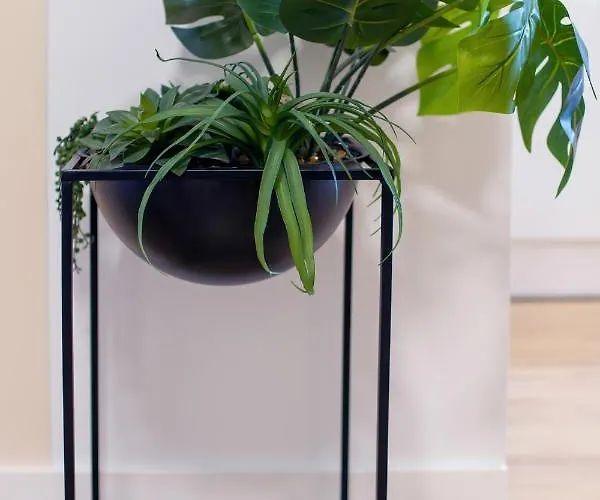 Awanport Zeromskiego By Renters Apartment